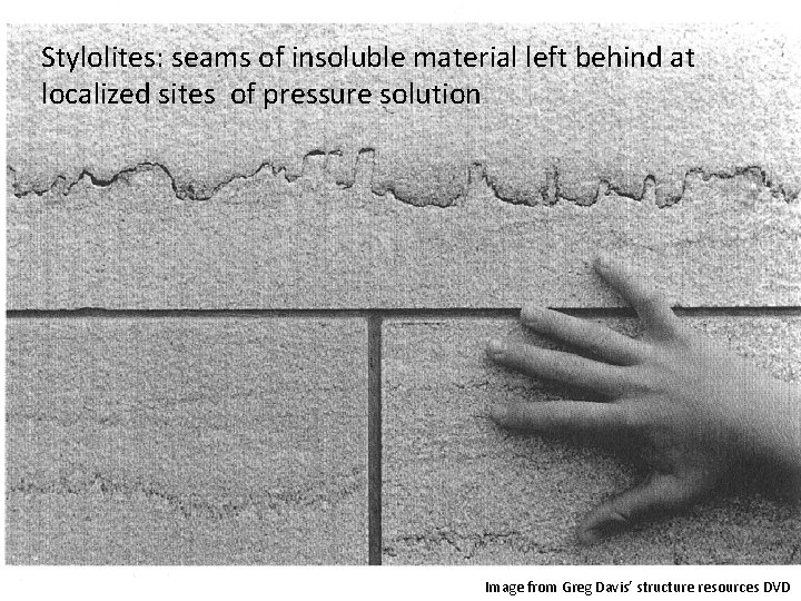 Stylolites: seams of insoluble material left behind at localized sites of pressure solution Image