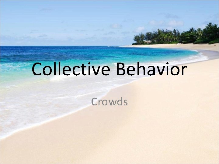 Collective Behavior Crowds 