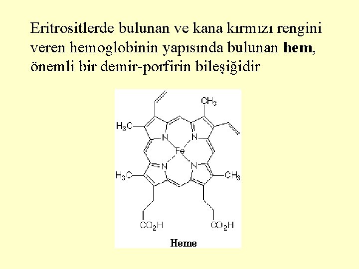 Eritrositlerde bulunan ve kana kırmızı rengini veren hemoglobinin yapısında bulunan hem, önemli bir demir-porfirin