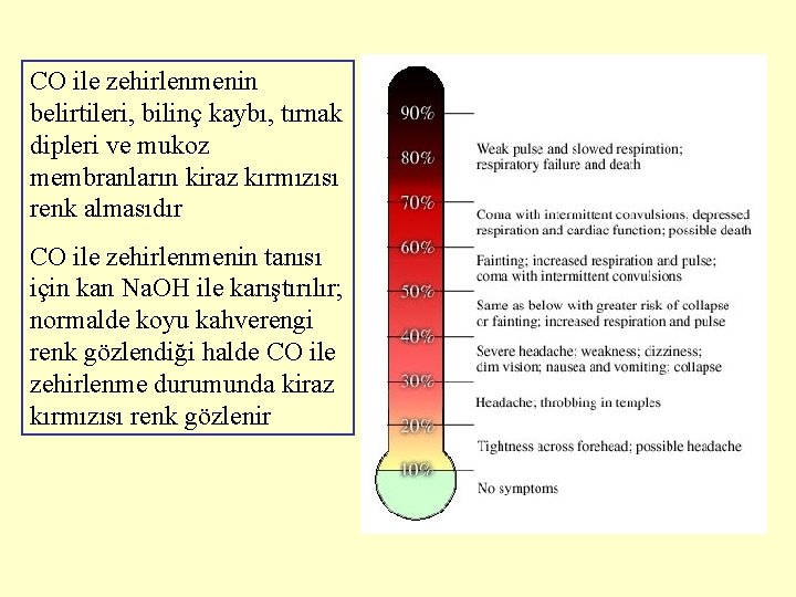 CO ile zehirlenmenin belirtileri, bilinç kaybı, tırnak dipleri ve mukoz membranların kiraz kırmızısı renk