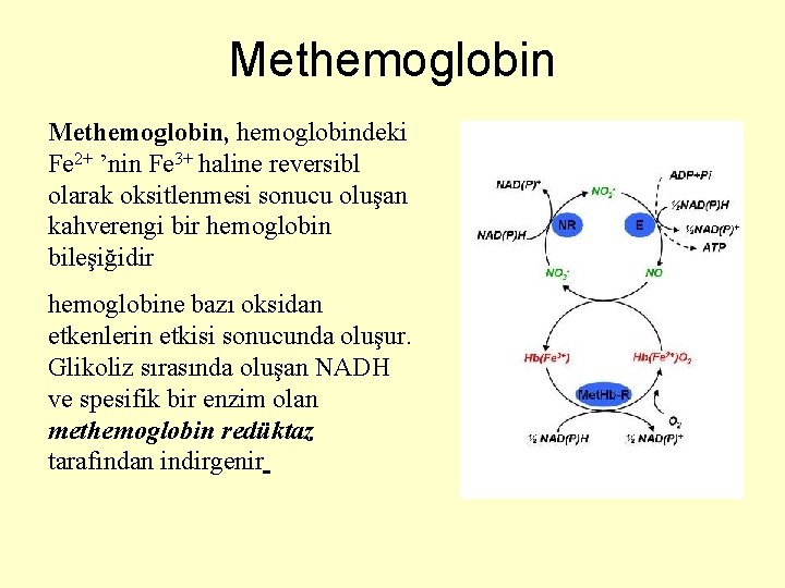 Methemoglobin, hemoglobindeki Fe 2+ ’nin Fe 3+ haline reversibl olarak oksitlenmesi sonucu oluşan kahverengi