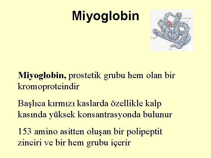 Miyoglobin, prostetik grubu hem olan bir kromoproteindir Başlıca kırmızı kaslarda özellikle kalp kasında yüksek