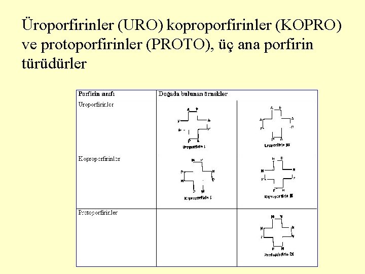 Üroporfirinler (URO) koproporfirinler (KOPRO) ve protoporfirinler (PROTO), üç ana porfirin türüdürler 