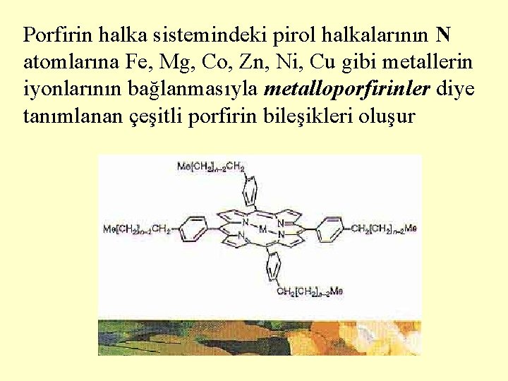 Porfirin halka sistemindeki pirol halkalarının N atomlarına Fe, Mg, Co, Zn, Ni, Cu gibi