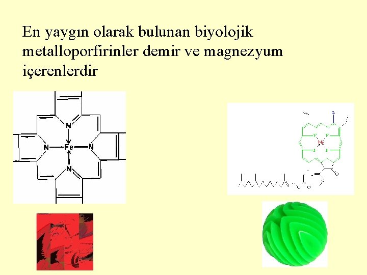 En yaygın olarak bulunan biyolojik metalloporfirinler demir ve magnezyum içerenlerdir 