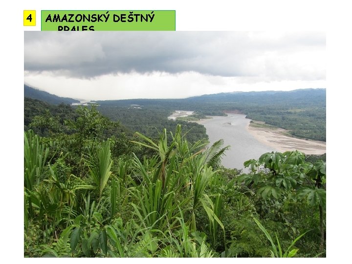 4 AMAZONSKÝ DEŠTNÝ PRALES 