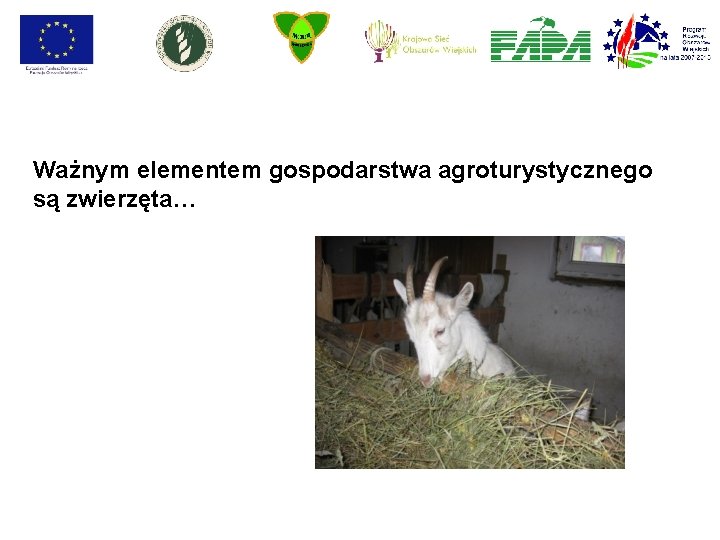 Ważnym elementem gospodarstwa agroturystycznego są zwierzęta… 