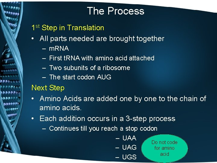 The Process 1 st Step in Translation • All parts needed are brought together