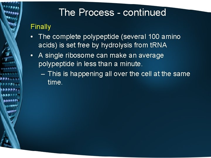 The Process - continued Finally • The complete polypeptide (several 100 amino acids) is