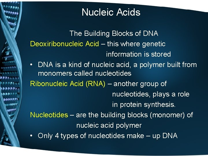 Nucleic Acids The Building Blocks of DNA Deoxiribonucleic Acid – this where genetic information