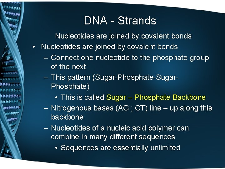 DNA - Strands Nucleotides are joined by covalent bonds • Nucleotides are joined by