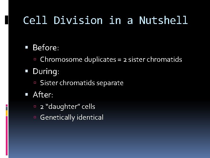 Cell Division in a Nutshell Before: Chromosome duplicates = 2 sister chromatids During: Sister