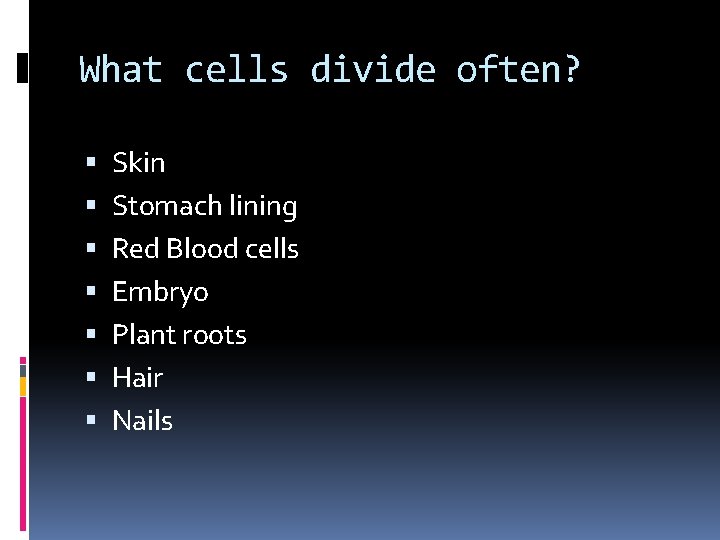 What cells divide often? Skin Stomach lining Red Blood cells Embryo Plant roots Hair