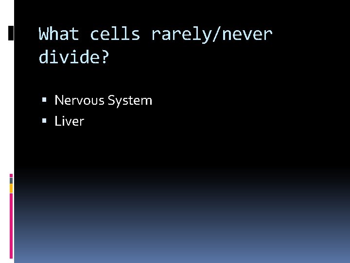 What cells rarely/never divide? Nervous System Liver 