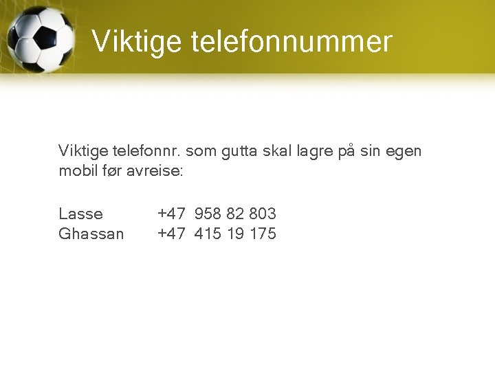 Viktige telefonnummer Viktige telefonnr. som gutta skal lagre på sin egen mobil før avreise: