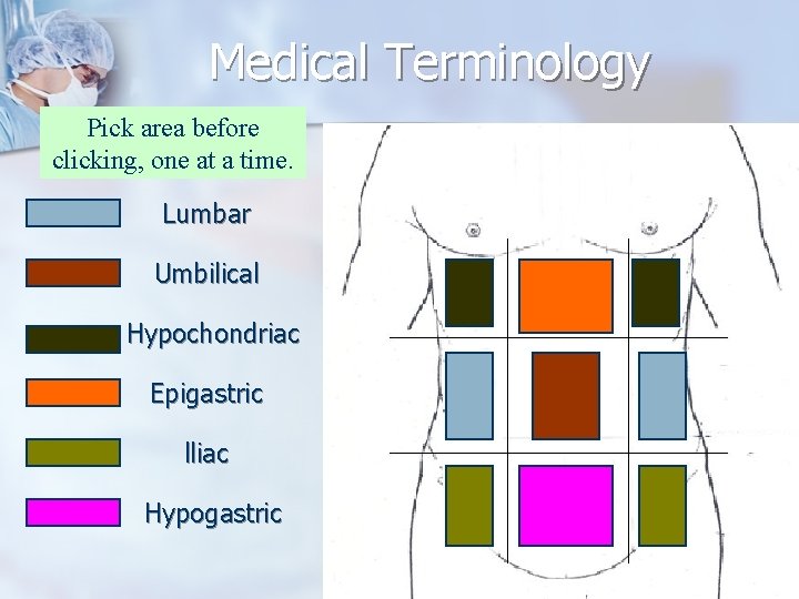 Medical Terminology Pick area before clicking, one at a time. Lumbar Umbilical Hypochondriac Epigastric