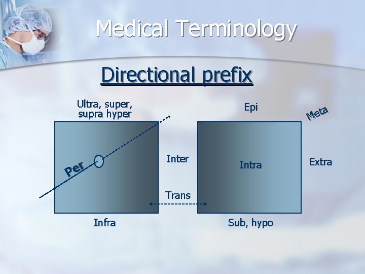 Medical Terminology Directional prefix Ultra, super, supra hyper Inter r e P Epi ta