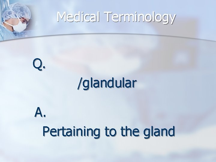 Medical Terminology Q. /glandular A. Pertaining to the gland 
