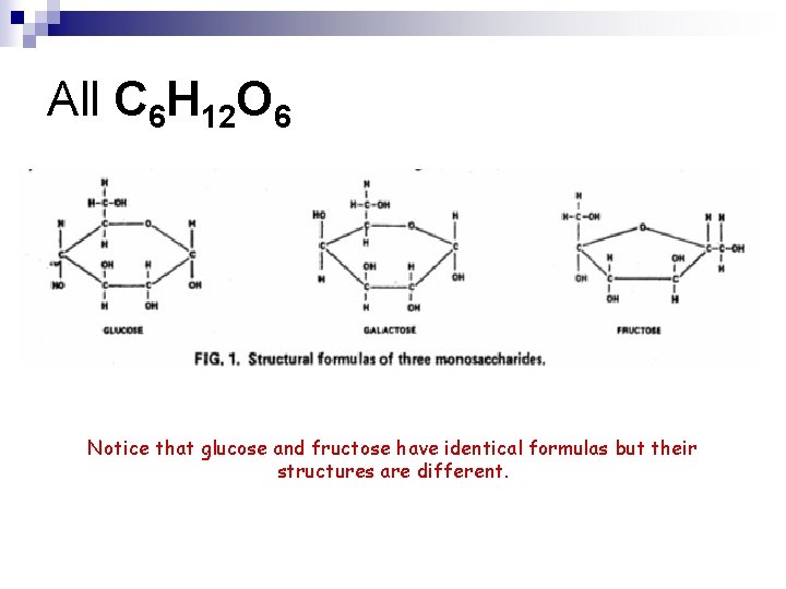 All C 6 H 12 O 6 Notice that glucose and fructose have identical