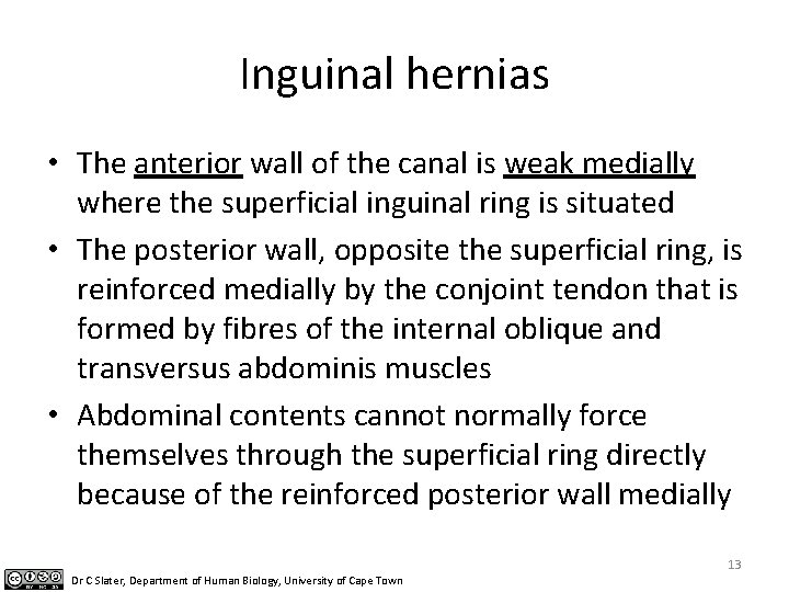 Inguinal hernias • The anterior wall of the canal is weak medially where the