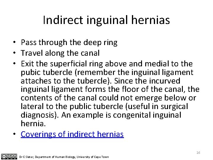 Indirect inguinal hernias • Pass through the deep ring • Travel along the canal