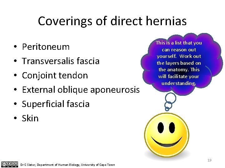 Coverings of direct hernias • • • Peritoneum Transversalis fascia Conjoint tendon External oblique