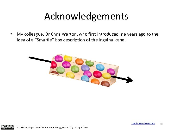 Acknowledgements • My colleague, Dr Chris Warton, who first introduced me years ago to