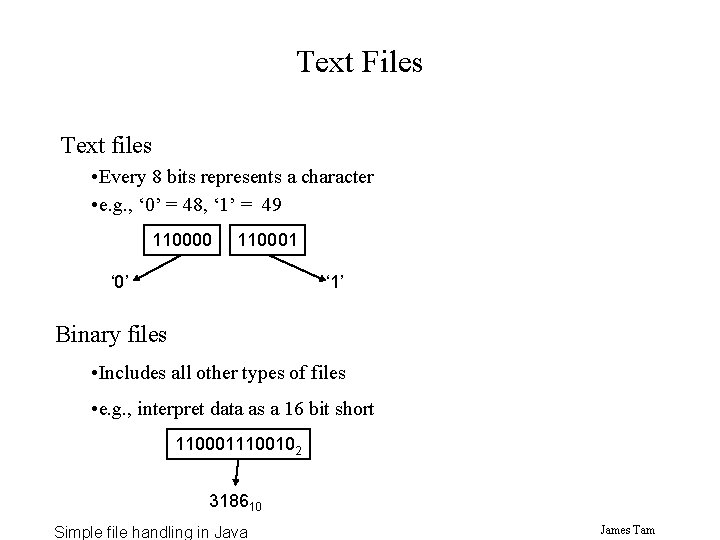 Text Files Text files • Every 8 bits represents a character • e. g. Text Files Text files • Every 8 bits represents a character • e. g.