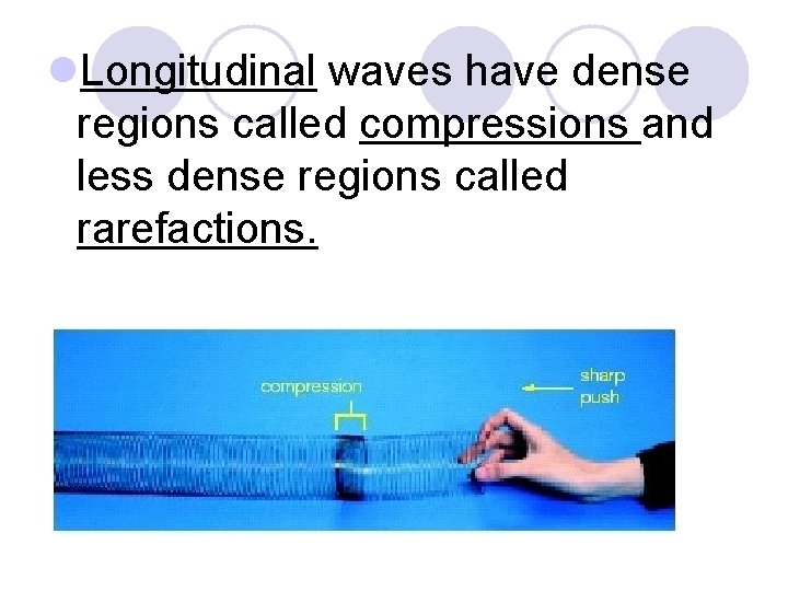 l. Longitudinal waves have dense regions called compressions and less dense regions called rarefactions.