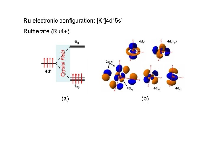 Ru electronic configuration: [Kr]4 d 75 s 1 Rutherate (Ru 4+) (a) (b) 