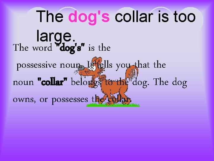 The dog's collar is too large. The word "dog's" is the possessive noun. It