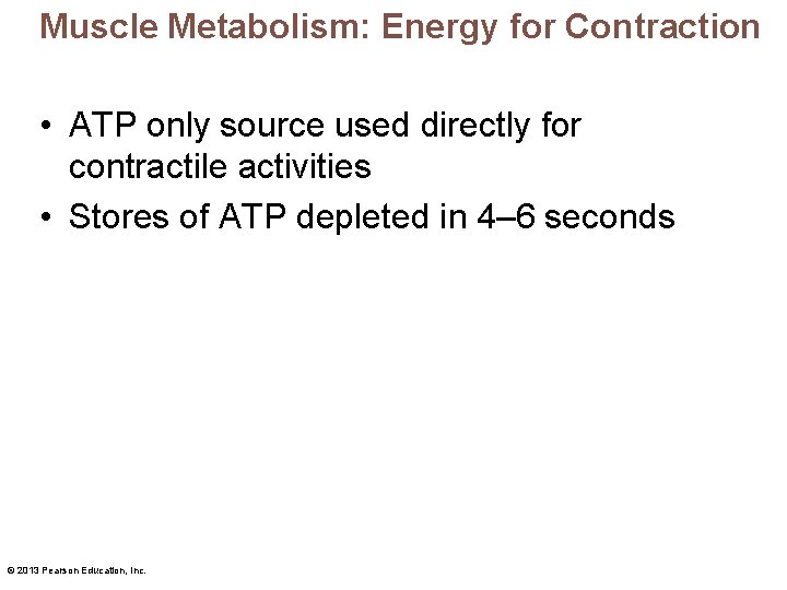Muscle Metabolism: Energy for Contraction • ATP only source used directly for contractile activities