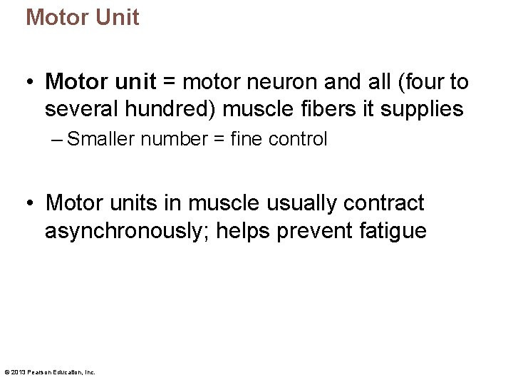 Motor Unit • Motor unit = motor neuron and all (four to several hundred)