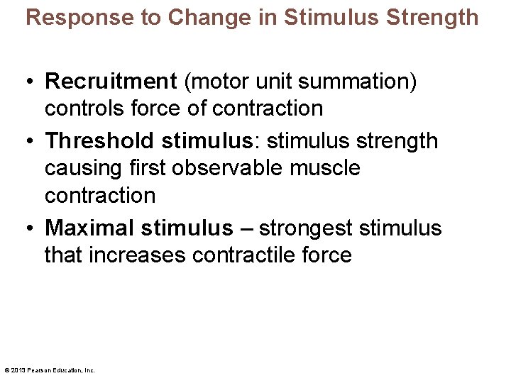 Response to Change in Stimulus Strength • Recruitment (motor unit summation) controls force of
