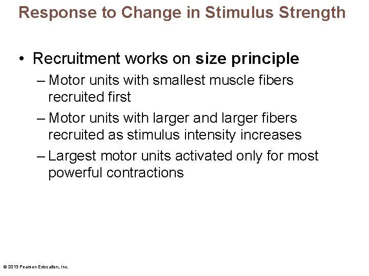 Response to Change in Stimulus Strength • Recruitment works on size principle – Motor