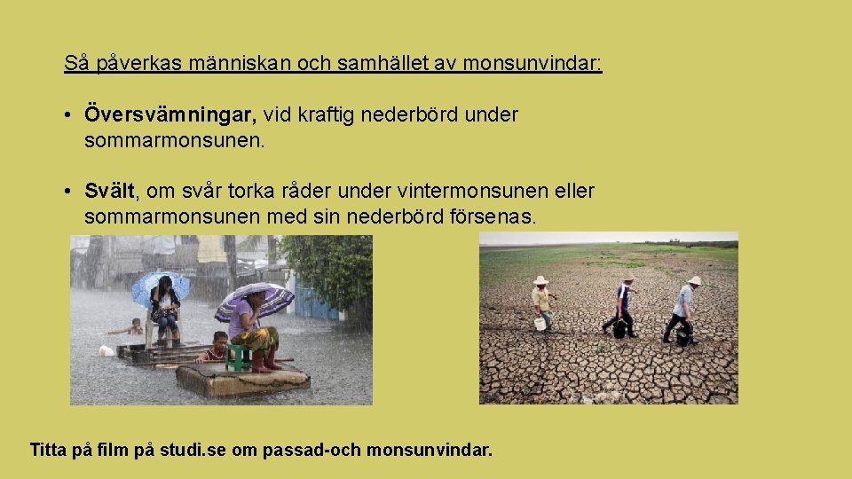 Så påverkas människan och samhället av monsunvindar: • Översvämningar, vid kraftig nederbörd under sommarmonsunen.