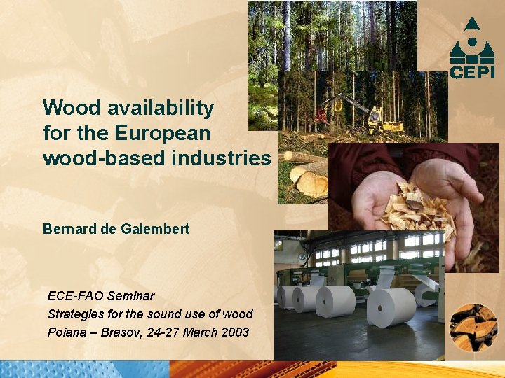 Wood availability for the European wood-based industries Bernard de Galembert ECE-FAO Seminar Strategies for