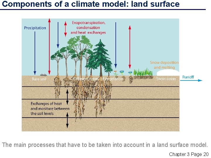 Components of a climate model: land surface The main processes that have to be