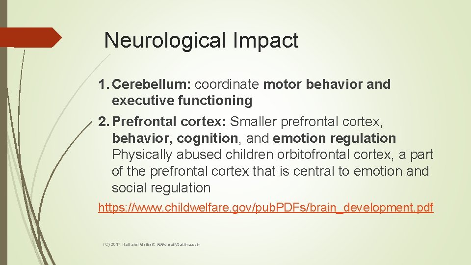 Neurological Impact 1. Cerebellum: coordinate motor behavior and executive functioning 2. Prefrontal cortex: Smaller