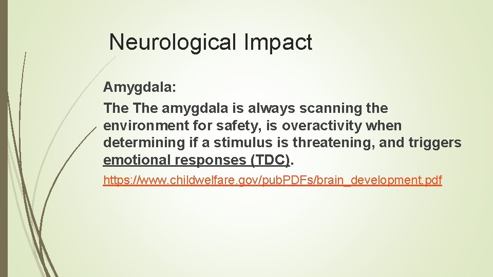 Neurological Impact Amygdala: The amygdala is always scanning the environment for safety, is overactivity