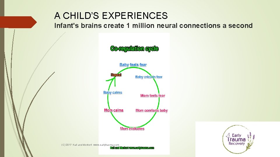 A CHILD’S EXPERIENCES Infant's brains create 1 million neural connections a second (C) 2017