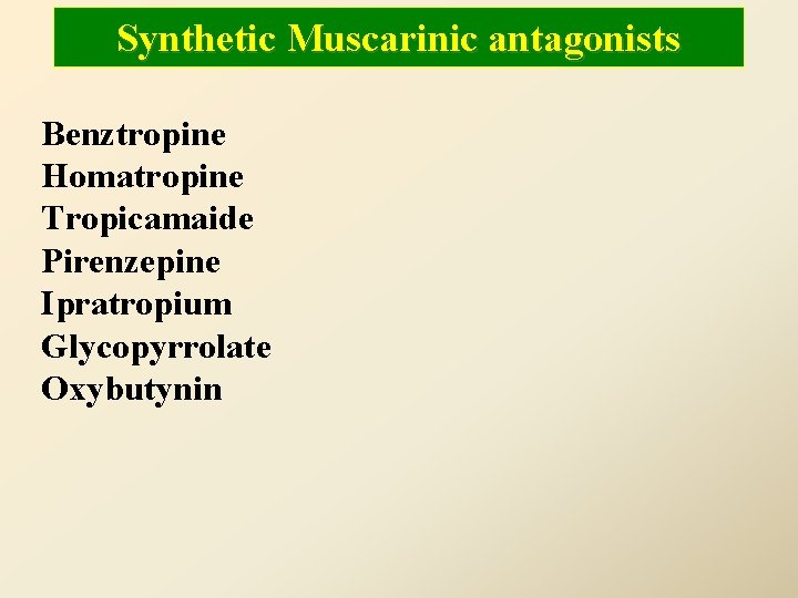 Synthetic Muscarinic antagonists Benztropine Homatropine Tropicamaide Pirenzepine Ipratropium Glycopyrrolate Oxybutynin 