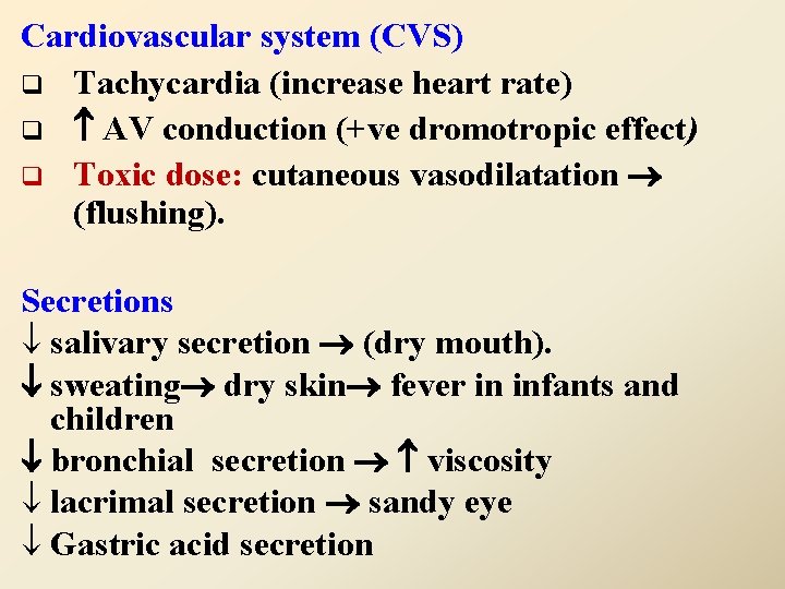 Cardiovascular system (CVS) q Tachycardia (increase heart rate) q AV conduction (+ve dromotropic effect)
