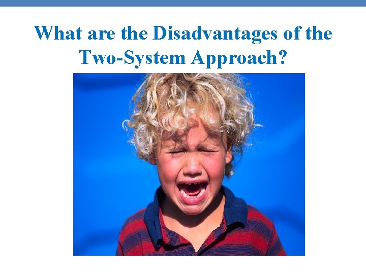 What are the Disadvantages of the Two-System Approach? 