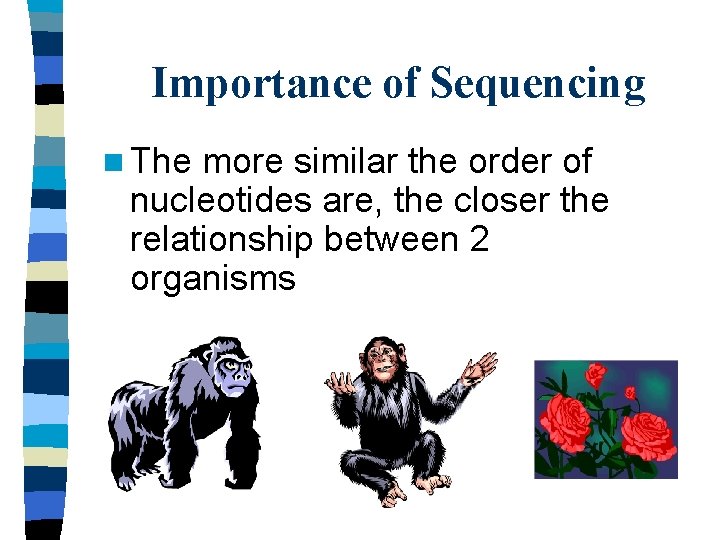 Importance of Sequencing n The more similar the order of nucleotides are, the closer