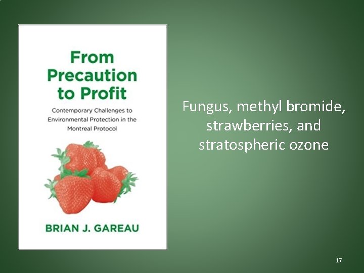 Fungus, methyl bromide, strawberries, and stratospheric ozone 17 