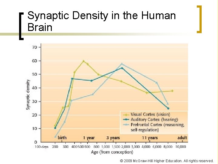 Synaptic Density in the Human Brain © 2009 Mc. Graw-Hill Higher Education. All rights