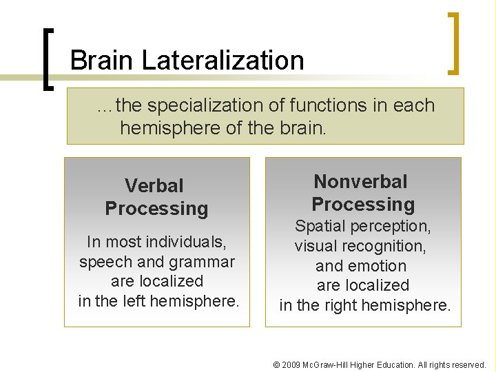 Brain Lateralization …the specialization of functions in each hemisphere of the brain. Verbal Processing