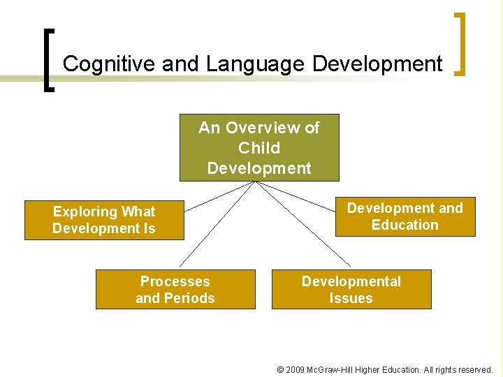Cognitive and Language Development An Overview of Child Development Exploring What Development Is Processes