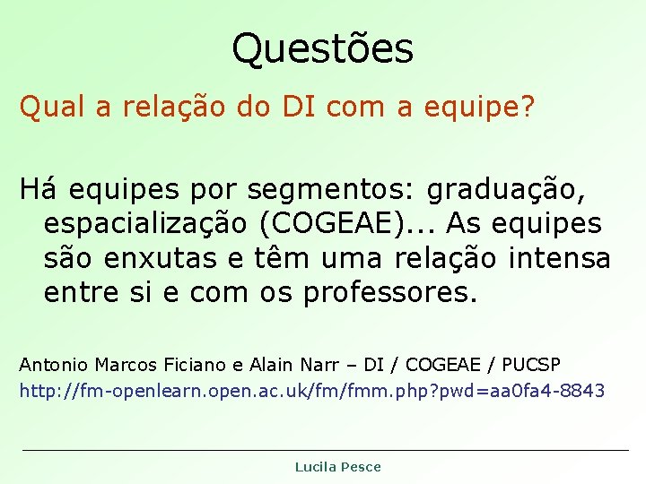Questões Qual a relação do DI com a equipe? Há equipes por segmentos: graduação, Questões Qual a relação do DI com a equipe? Há equipes por segmentos: graduação,